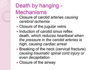 Death by hanging -
Mechanisms
 Closure of carotid arteries causing
cerebral ischemia
 Closure of the jugular veins
 Induction of carotid sinus reflex
death, which reduces heartbeat when
the pressure in the carotid arteries is
high, causing cardiac arrest
 Breaking of the neck (cervical fracture)
causing traumatic spinal cord injury or
even decapitation
 Closure of the airway
 