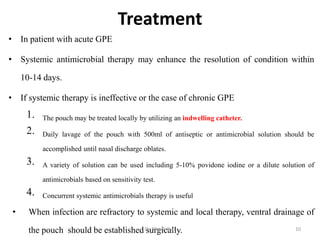 Treatment
• In patient with acute GPE
• Systemic antimicrobial therapy may enhance the resolution of condition within
10-14 days.
• If systemic therapy is ineffective or the case of chronic GPE
1. The pouch may be treated locally by utilizing an indwelling catheter.
2. Daily lavage of the pouch with 500ml of antiseptic or antimicrobial solution should be
accomplished until nasal discharge oblates.
3. A variety of solution can be used including 5-10% povidone iodine or a dilute solution of
antimicrobials based on sensitivity test.
4. Concurrent systemic antimicrobials therapy is useful
• When infection are refractory to systemic and local therapy, ventral drainage of
the pouch should be established surgically. 10Dr. Bikash Puri
 