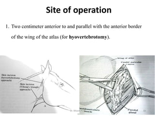 Site of operation
1. Two centimeter anterior to and parallel with the anterior border
of the wing of the atlas (for hyovertebrotomy).
18Dr. Bikash Puri
 