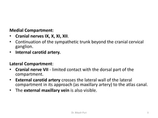 Medial Compartment:
• Cranial nerves IX, X, XI, XII.
• Continuation of the sympathetic trunk beyond the cranial cervical
ganglion.
• Internal carotid artery.
Lateral Compartment:
• Cranial nerve VII - limited contact with the dorsal part of the
compartment.
• External carotid artery crosses the lateral wall of the lateral
compartment in its approach (as maxillary artery) to the atlas canal.
• The external maxillary vein is also visible.
3Dr. Bikash Puri
 