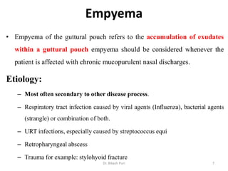 Empyema
• Empyema of the guttural pouch refers to the accumulation of exudates
within a guttural pouch empyema should be considered whenever the
patient is affected with chronic mucopurulent nasal discharges.
Etiology:
– Most often secondary to other disease process.
– Respiratory tract infection caused by viral agents (Influenza), bacterial agents
(strangle) or combination of both.
– URT infections, especially caused by streptococcus equi
– Retropharyngeal abscess
– Trauma for example: stylohyoid fracture
7Dr. Bikash Puri
 