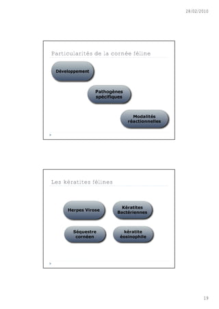 28/02/2010




Particularités de la cornée féline




Les kératites félines




                                            19
 