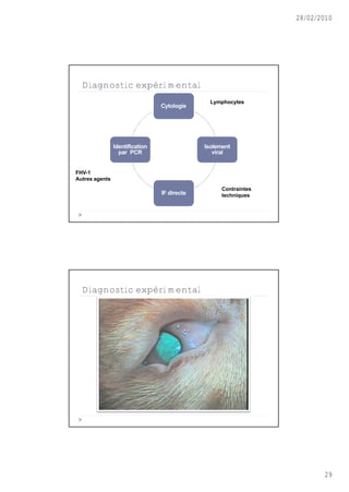 28/02/2010




  Diagnostic expérimental
                                                Lymphocytes
                                 Cytologie




                Identification                Isolement
                  par PCR                        viral


FHV-1
Autres agents
                                                    Contraintes
                                 IF directe         techniques




  Diagnostic expérimental




                                                                         29
 
