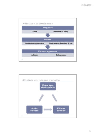 28/02/2010




Kératites bactériennes
                        Fréquence
           Faible                   (inférieure au chien)



                         Germes
  Résidents + contaminants    Staph, strepto, Pseudom., E.coli



                    Facteurs aggravants
         Adhésion                      Collagénases




Atteinte cornéenne variable
                       Ulcère avec
                      kératomalacie




         Abcès                          Kératite
        cornéen                         stromale




                                                                        34
 