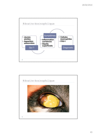 28/02/2010




Kératite éosinophilique



                   Sympt†mes
• Jeunes                         • Cellules
  adultes       • Inflammation     éosinophiles
• Apparition      cornéenne      • FHV-1
  saisonnière   • Dépôts
                  superficiels
       Qui ?                         Diagnostic




Kératite éosinophilique




                                                         43
 