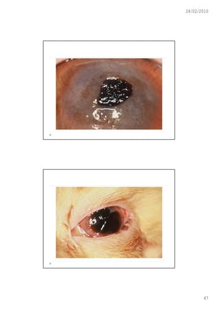 28/02/2010




       47
 