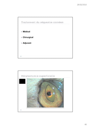 28/02/2010




Traitement du séquestre cornéen


   Médical

   Chirurgical

   Adjuvant




Kératectomie superficielle




                                         48
 