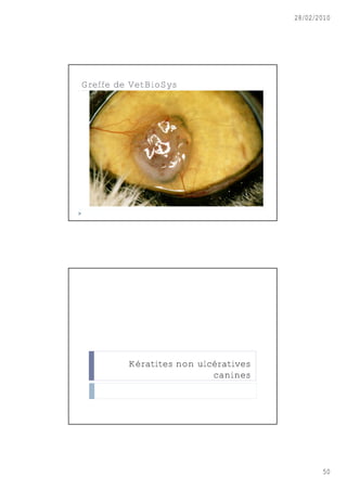 28/02/2010




Greffe de VetBioSys




         Kératites non ulcératives
                          canines




                                            50
 