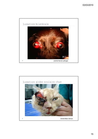 03/03/2010




Luxation bilatérale




                      (cliché Hervé Laforge)




Luxation globe oculaire chat




                                Cliché Marc Simon




                                                           15
 