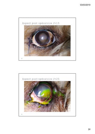 03/03/2010




Aspect post opératoire J+15




Aspect post-opératoire J+25




                                     24
 