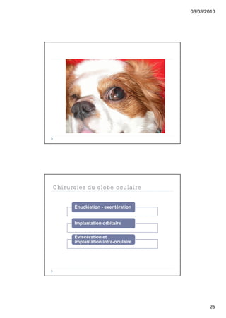 03/03/2010




Chirurgies du globe oculaire


      Enucléation - exentération


      Implantation orbitaire


      Eviscération et
      implantation intra-oculaire




                                           25
 