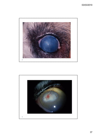 03/03/2010




       37
 