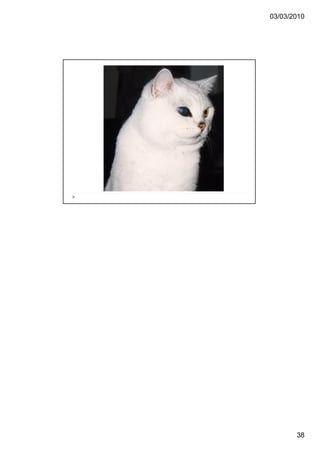 03/03/2010




       38
 