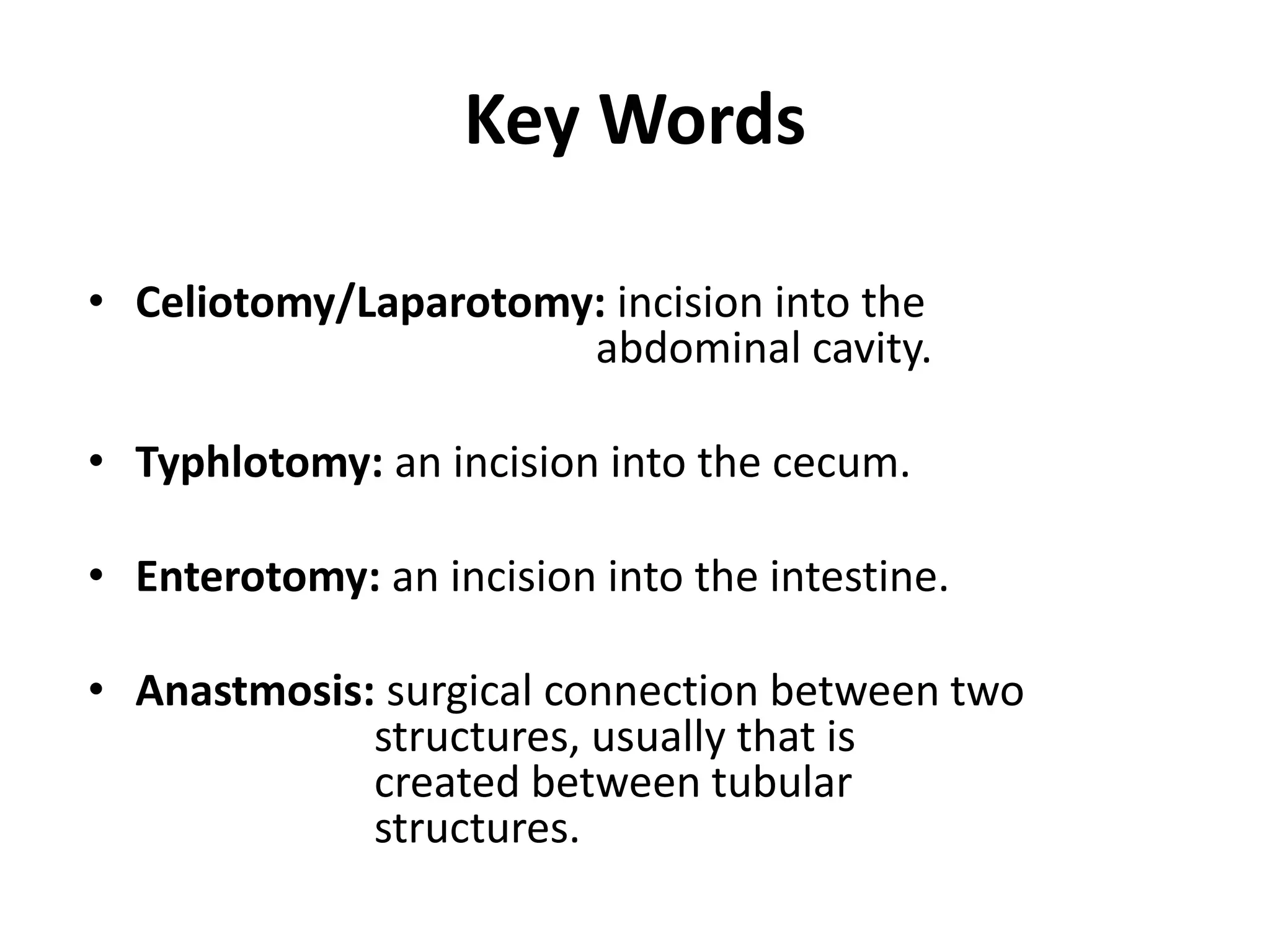 Affections of cecum, colon & rectum (Veterinary) | PPTX