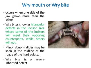 affections of teeth in animals that maybe monogastric or ruminants | PPTX