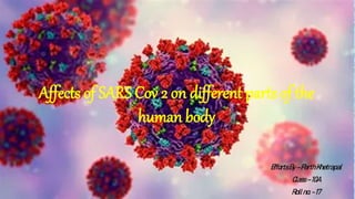 Affects of SARS Cov 2 on different parts of the
human body
EffortsBy–ParthKhetrapal
Class–10A
Rollno.-17
 