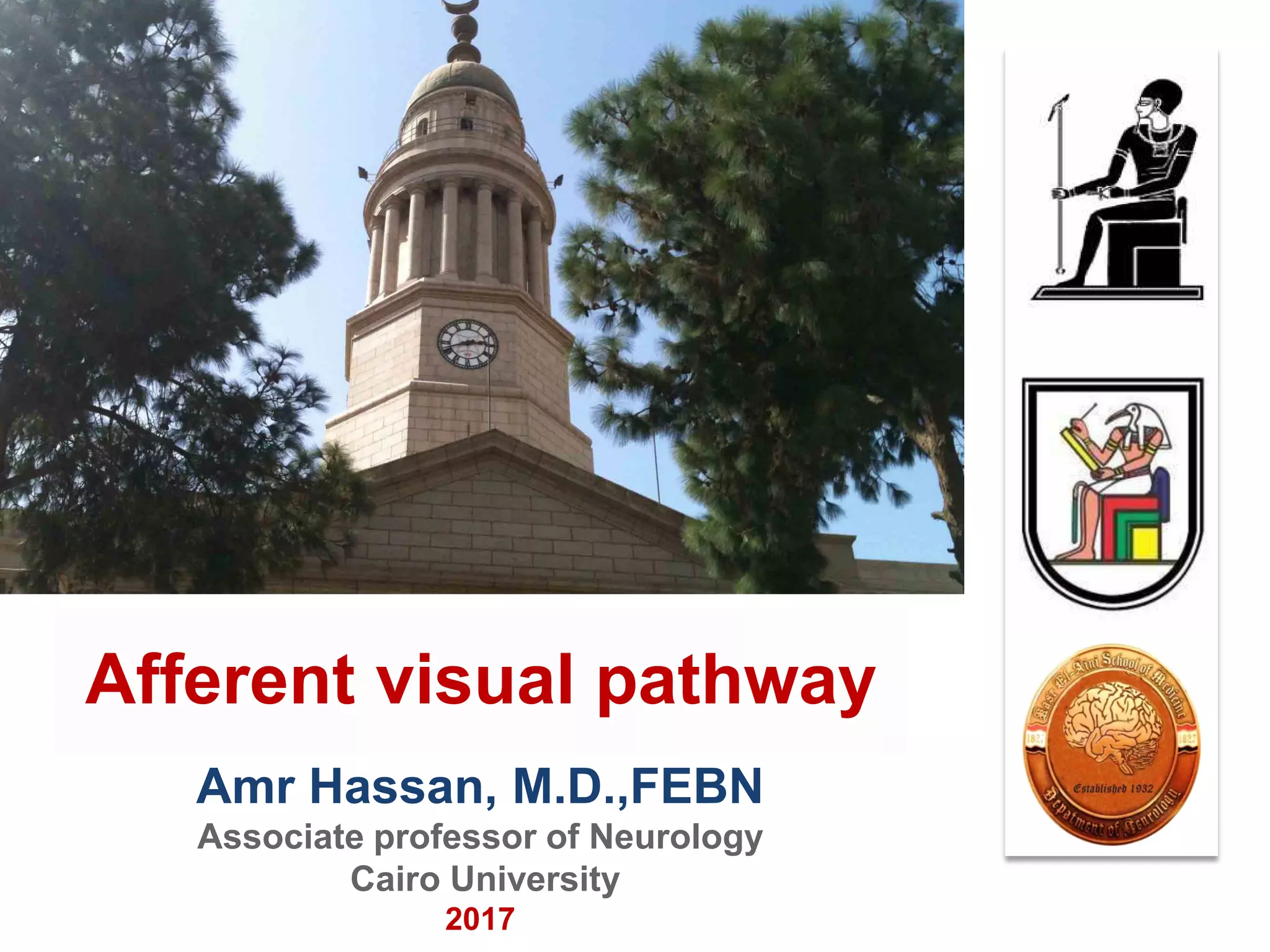 Amr Hassan, M.D.,FEBN
Associate professor of Neurology
Cairo University
2017
Afferent visual pathway
 