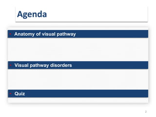 Agenda
2
• Anatomy of visual pathway
• Visual pathway disorders
• Quiz
 