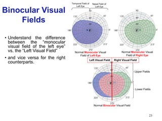 23
• Understand the difference
between the “monocular
visual field of the left eye”
vs. the “Left Visual Field”
• and vice versa for the right
counterparts.
Normal Binocular Visual Field
F
Right Visual FieldLeft Visual Field
Upper Fields
Lower Fields
Temporal Field of
Left Eye
Nasal Field of
Left Eye
Normal Monocular Visual
Field of Left Eye
F F
Normal Monocular Visual
Field of Right Eye
Binocular Visual
Fields
 
