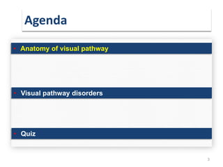 Agenda
3
• Anatomy of visual pathway
• Visual pathway disorders
• Quiz
 