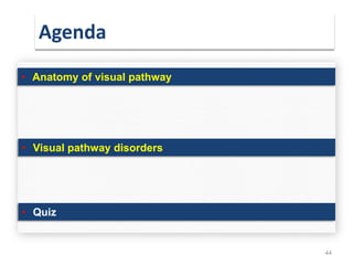 Agenda
44
• Anatomy of visual pathway
• Visual pathway disorders
• Quiz
 