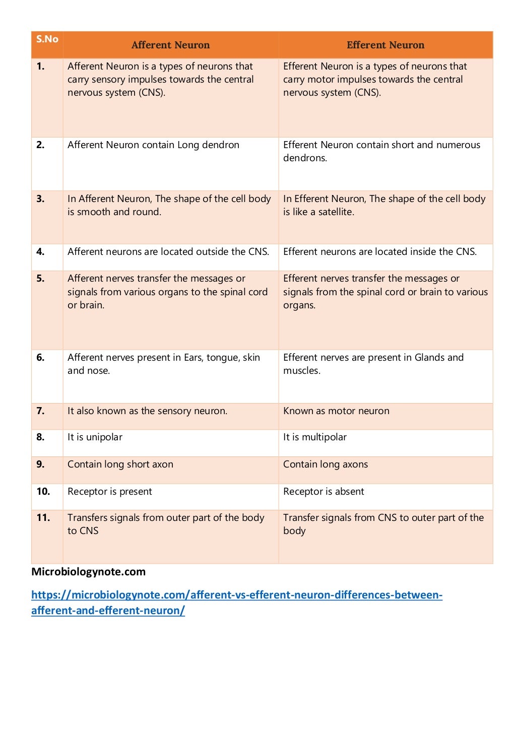 Differences between Afferent and Efferent Neuron | PDF