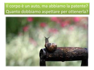 Il corpo è un auto, ma abbiamo la patente?
Quanto dobbiamo aspettare per ottenerla?
 