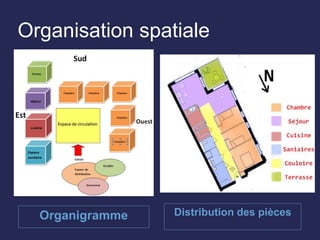 Organisation spatiale
Organigramme Distribution des pièces
 