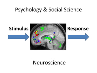Psychology & Social Science
Response

Stimulus

Brain

Neuroscience

 