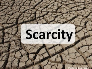 Scarcity
Photo via Doniv.org

 