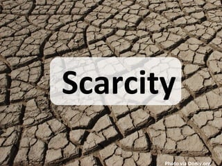 Scarcity

       Photo via Doniv.org
 