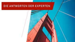 DIE ANTWORTEN DER EXPERTEN
 
