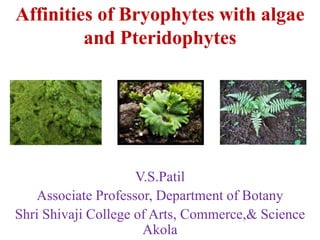 Affinities of Bryophytes with algae
and Pteridophytes
V.S.Patil
Associate Professor, Department of Botany
Shri Shivaji College of Arts, Commerce,& Science
Akola
 