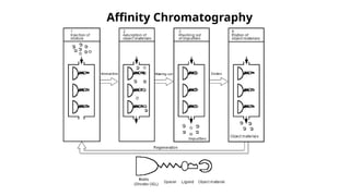 Affinity chomatography for bio separation | PPTX