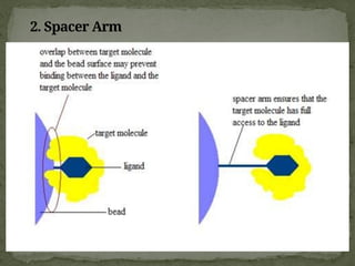 2. Spacer Arm
 