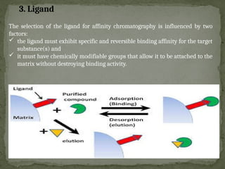 The selection of the ligand for affinity chromatography is influenced by two
factors:
 the ligand must exhibit specific and reversible binding affinity for the target
substance(s) and
 it must have chemically modifiable groups that allow it to be attached to the
matrix without destroying binding activity.
3. Ligand
 