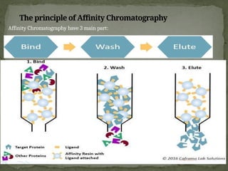 The principle of Affinity Chromatography
Affinity Chromatography have 3 main part:
 