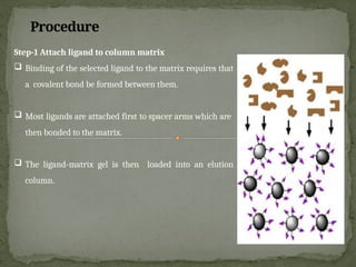Procedure
Step-1 Attach ligand to column matrix
 Binding of the selected ligand to the matrix requires that
a covalent bond be formed between them.
 Most ligands are attached first to spacer arms which are
then bonded to the matrix.
 The ligand-matrix gel is then loaded into an elution
column.
 