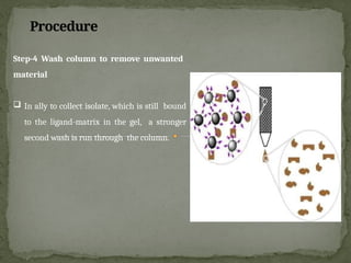 Procedure
Step-4 Wash column to remove unwanted
material
 In ally to collect isolate, which is still bound
to the ligand-matrix in the gel, a stronger
second wash is run through the column.
 
