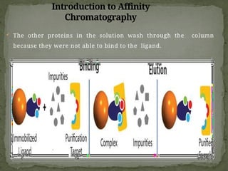  The other proteins in the solution wash through the column
because they were not able to bind to the ligand.
Introduction to Affinity
Chromatography
 