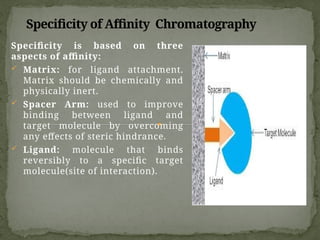 Specificity of Affinity Chromatography
Specificity is based on three
aspects of affinity:
 Matrix: for ligand attachment.
Matrix should be chemically and
physically inert.
 Spacer Arm: used to improve
binding between ligand and
target molecule by overcoming
any effects of steric hindrance.
 Ligand: molecule that binds
reversibly to a specific target
molecule(site of interaction).
 