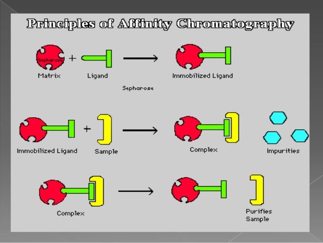 Affinity chromatography