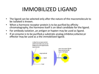 IMMOBILIZED LIGAND
• The ligand can be selected only after the nature of the macromolecule to
be isolated is known.
• When a hormone receptor protein is to be purified by affinity
chromatography, the hormone itself is an ideal candidate for the ligand.
• For antibody isolation ,an antigen or hapten may be used as ligand.
• If an enzyme is to be purified,a substrate analog,inhibitor,cofactor,or
effector may be used as a the immobilized ligand.
 