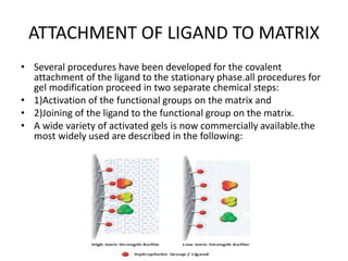 ATTACHMENT OF LIGAND TO MATRIX
• Several procedures have been developed for the covalent
attachment of the ligand to the stationary phase.all procedures for
gel modification proceed in two separate chemical steps:
• 1)Activation of the functional groups on the matrix and
• 2)Joining of the ligand to the functional group on the matrix.
• A wide variety of activated gels is now commercially available.the
most widely used are described in the following:
 