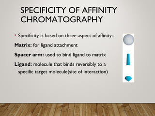SPECIFICITY OF AFFINITY
CHROMATOGRAPHY
• Specificity is based on three aspect of affinity:-
Matrix: for ligand attachment
Spacer arm: used to bind ligand to matrix
Ligand: molecule that binds reversibly to a
specific target molecule(site of interaction)
 