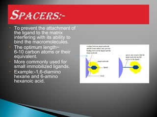 • To prevent the attachment of
the ligand to the matrix
interfering with its ability to
bind the macromolecules.
• The optimum length~
6-10 carbon atoms or their
equivalent.
• More commonly used for
small immobilized ligands.
• Example:-1,6-diamino
hexane and 6-amino
hexanoic acid.
 