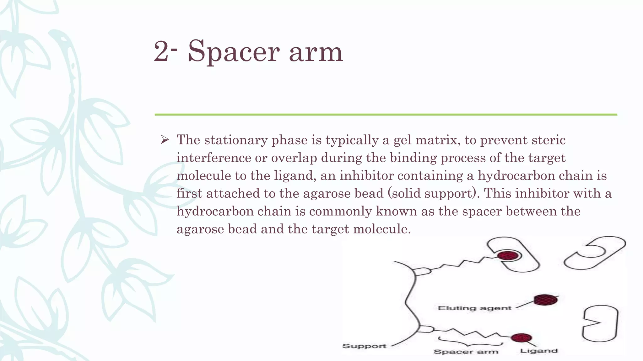 2- Spacer arm
 The stationary phase is typically a gel matrix, to prevent steric
interference or overlap during the binding process of the target
molecule to the ligand, an inhibitor containing a hydrocarbon chain is
first attached to the agarose bead (solid support). This inhibitor with a
hydrocarbon chain is commonly known as the spacer between the
agarose bead and the target molecule.
 