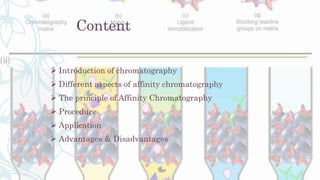 Content
 Introduction of chromatography
 Different aspects of affinity chromatography
 The principle of Affinity Chromatography
 Procedure
 Application
 Advantages & Disadvantages
 