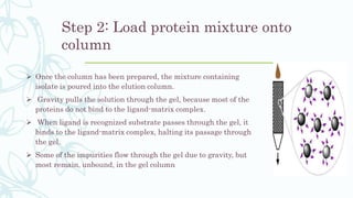 Step 2: Load protein mixture onto
column
 Once the column has been prepared, the mixture containing
isolate is poured into the elution column.
 Gravity pulls the solution through the gel, because most of the
proteins do not bind to the ligand-matrix complex.
 When ligand is recognized substrate passes through the gel, it
binds to the ligand-matrix complex, halting its passage through
the gel.
 Some of the impurities flow through the gel due to gravity, but
most remain, unbound, in the gel column
 