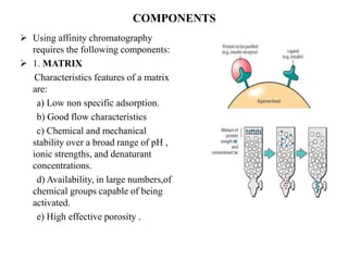 COMPONENTS
 Using affinity chromatography
requires the following components:
 1. MATRIX
Characteristics features of a matrix
are:
a) Low non specific adsorption.
b) Good flow characteristics
c) Chemical and mechanical
stability over a broad range of pH ,
ionic strengths, and denaturant
concentrations.
d) Availability, in large numbers,of
chemical groups capable of being
activated.
e) High effective porosity .
 